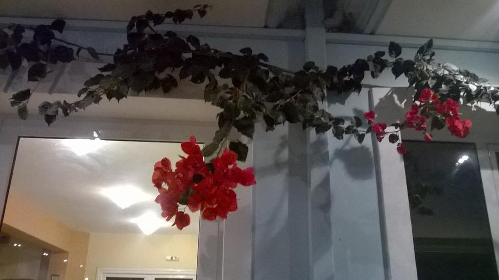 Hotel Spiros أموديا المظهر الخارجي الصورة